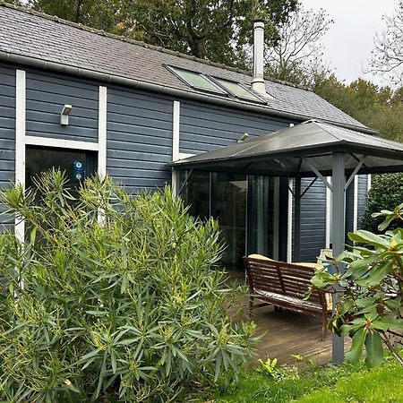 Gite Bambou Saint-Lunaire Eksteriør billede